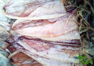 Mực khô size 1