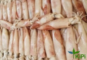 Mực Trứng đặc biệt