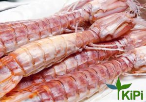 Bề Bề Thịt( Tôm Tích) nguyên vỏ hấp sơ