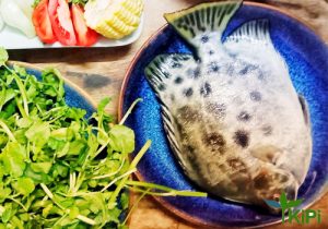 Cá Nâu (Cá Mảnh Sành)