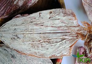 Mực khô cỡ bự