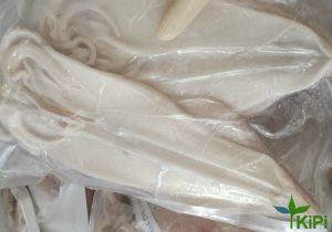 Mực 1 Nắng