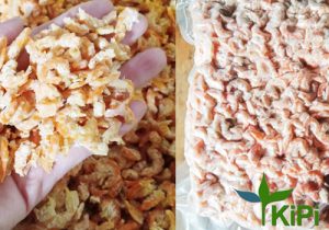 Nõn Tôm Biển sấy khô