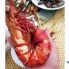 Tôm Sú đặc biệt - Hình ảnh 2