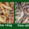 Nõn Tôm Biển sấy khô - Hình ảnh 2