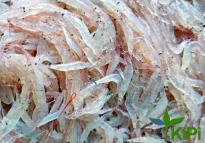Moi Tươi