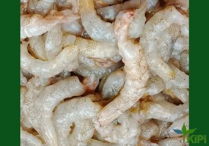 Nõn Tôm biển size 2