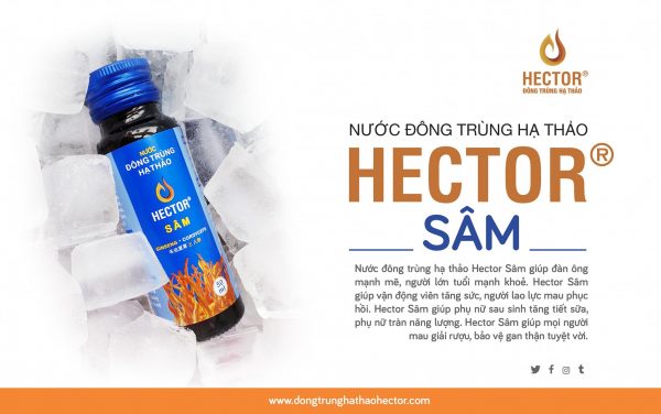 Đông trùng Hạ thảo Hector Sâm